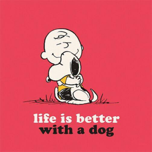 dog. life is better with a dog