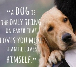 dog. love. earth