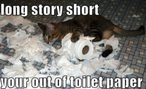 Long_Story_Short_You_re_Out_Of_Toilet_Paper 2